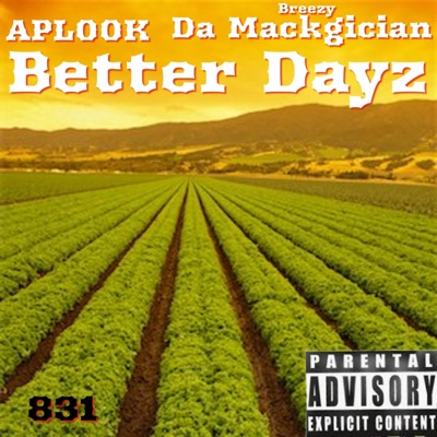 Better Dayz (feat. APL00k) - Single