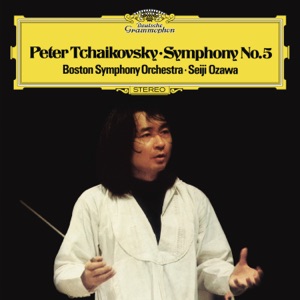 Symphony No.5 In E Minor, Op.64, TH.29: 1. Andante - Allegro con anima