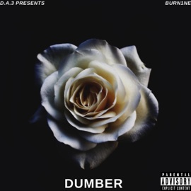 Dumber D.A.3
