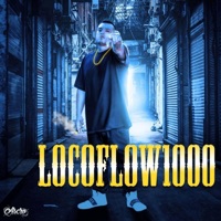Ran 100 Bricks - Single - Locoflow1000