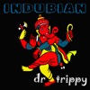 dr trippy - Raj Against the Machine