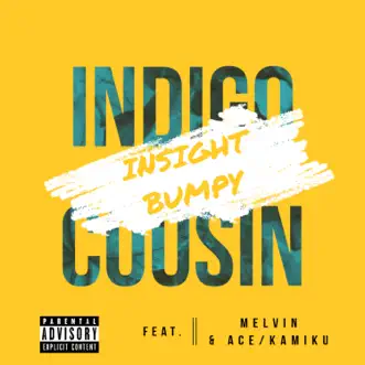 Insight Bumpy (feat. Melvin & Ace Kamiku) - Single by Indigo Cousin album reviews, ratings, credits