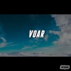 Voar (feat. O&G) - Single