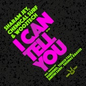 I Can Tell You (Touchtalk Remix) artwork