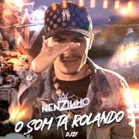 O Som Tá Rolando - Single - Nenzinho & DJ 2F