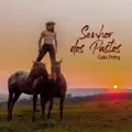 Senhor dos Pastos