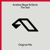 The Test (Extended Mix) artwork