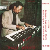 Hailu Mergia, The Walias - Mestirawi Debdabe