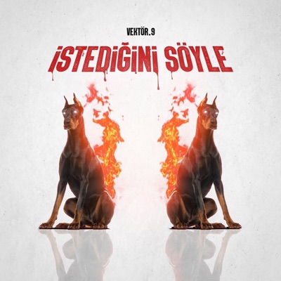 İstediğini Söyle - Single