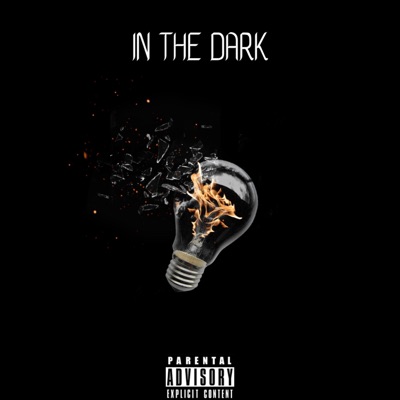 In the Dark (feat. Hendrix & Ronan) - Single