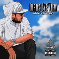 Bird's Eye View - Single - Kalateral