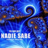Nadie Sabe (Version Original) artwork