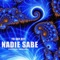 Nadie Sabe (Version Original) artwork