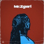 Mr Zgori