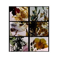 JustEnuff - Single - bc.einstein