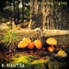E-Mantra - The Darkest Hours