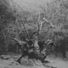 Bolgarin - Muza (Broken Version)