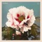 Gardens (feat. IONAS) - SCayos lyrics