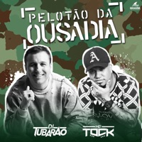 Pelotão da Ousadia - Single - MC Tock & DJ Tubarão
