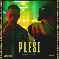 PLESI