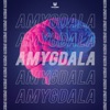 Amygdala - Single