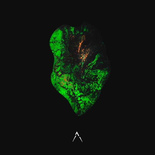 Reflections - Single