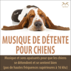 Musique de détente pour chiens: Musique et sons apaisants pour que les chiens se détendent et se sentent bien (Pas de hautes fréquences supérieures à 16 khz) - Musique de Chien TA, SyncSouls & Amoureux des Chiens TA