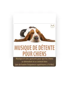 Ascolta Musique de Chien TA, guarda video musicali, leggi la biografia, vedi le date del tour & altro!