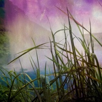 Aisling - Single - Some Tones