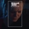 Wallis Bird & Villagers - Communion (Retrospective Sessions) (Villagers Remix)