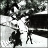 O Som dos Pássaros - Single