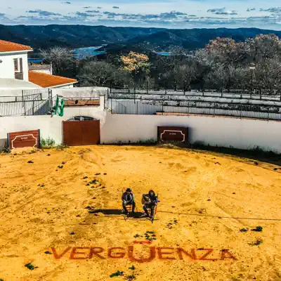 Vergüenza (feat. Astola) - Single - Capitan Cobarde