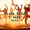 Playa Brisa y Mar - Single