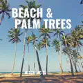 Beach & Palm Trees