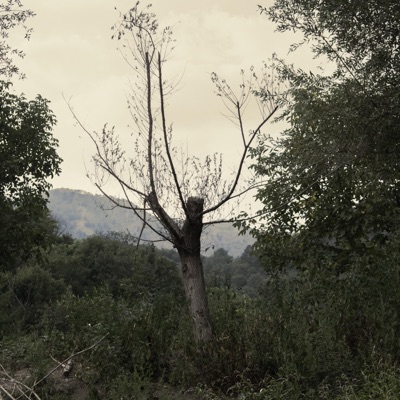 Non Voglio Guardarti - Single