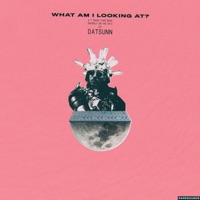 What Am I Looking At? - Datsunn