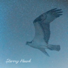 Starry Hawk - Bliss Looper