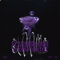 Scarborough Blooms Freestyle - Single - pablø