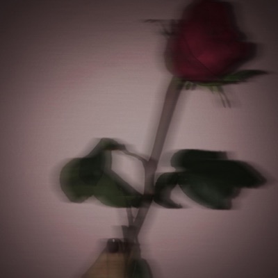 Not Perfect - Single