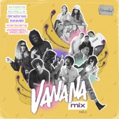 Vanana Mix artwork