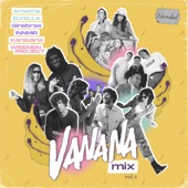 Vanana Megamix artwork