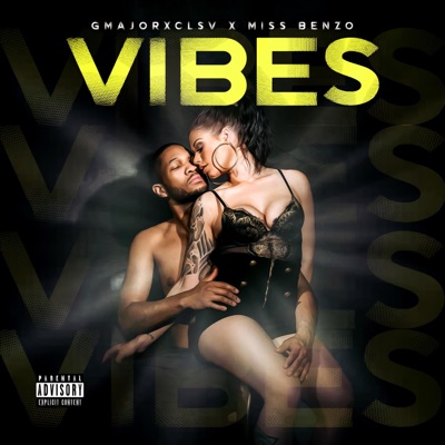 Vibes (feat. Miss Benzo) - Single