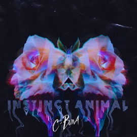Instinct Animal C-Buna