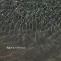 Agora