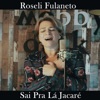 Sai pra La Jacaré - Single