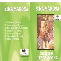 Sina Makosa