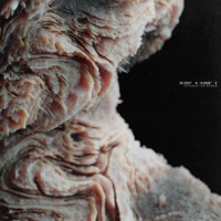 Sturgeon's Law - Single - Istasha