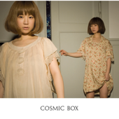 Cosmic Box