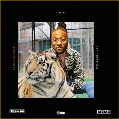 Exotic "Tiger King" (feat. Nued Maj) - Single