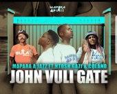 John Vuli Gate (feat. Ntosh Gazi & Colano) artwork